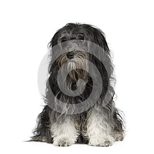 LÃ¯Â¿Â½wchen (7 years)