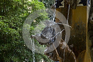 La Aguadora fountain detail in the Plaza/Square Gabriel Miro photo