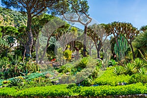 Botanický zahrada 