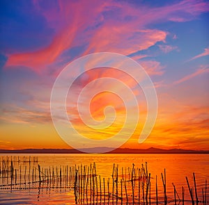 La Albufera lake sunset in El Saler of Valencia