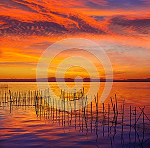 La Albufera lake sunset in El Saler of Valencia