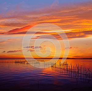 La Albufera lake sunset in El Saler of Valencia