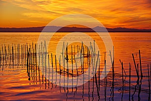 La Albufera lake sunset in El Saler of Valencia