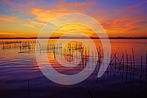 La Albufera lake sunset in El Saler of Valencia