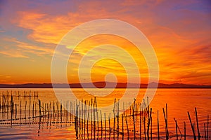 La Albufera lake sunset in El Saler of Valencia