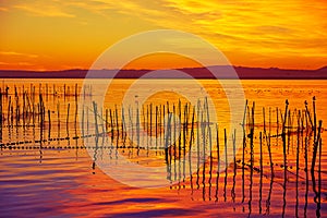 La Albufera lake sunset in El Saler of Valencia