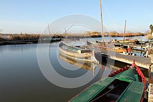 La Albufera nature reserve, El Palmar, Valencia, Comunidad Valenciana, Spain.