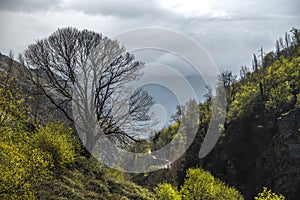 La Alpujarra, Andalusia photo