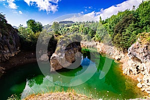 La arboleda , Bizkaia, tree green lake forest tree water sky landscape photo