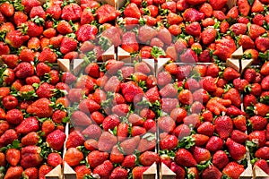 La Boqueria