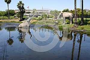 La Brea Tar Pits photo