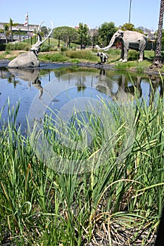 La Brea Tar Pits