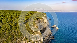 La Breña pine forest over the cliffs