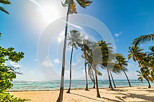 La Caravelle beach in Guadeloupe under a shining sun