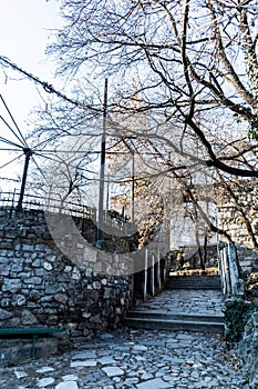 La Cetate area from Cismigiu park