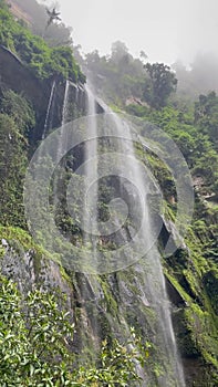 La Chorrera Rainforest Waterfall Colombia