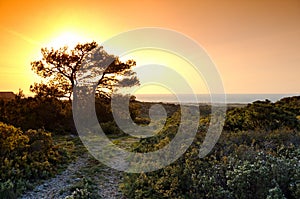 La clape hills in languedoc country