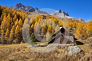 La Claree Valley with Fall colors. Haute VallÃ©e de la ClarÃ©e, NÃ©vache, Hautes-Alpes, Alps, France