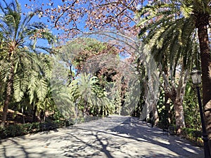 La ConcepciÃ³n located on the banks of the Guadalmedina River, north of the city of Malaga. photo