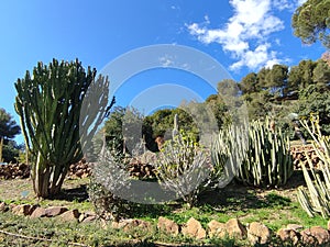 La ConcepciÃ³n located on the banks of the Guadalmedina River, north of the city of Malaga. photo