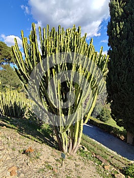 La ConcepciÃ³n located on the banks of the Guadalmedina River, north of the city of Malaga. photo