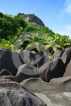 La Digue island, Indian Ocean, Seychelles.