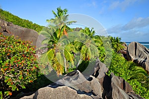 La Digue Island, Seychelles.