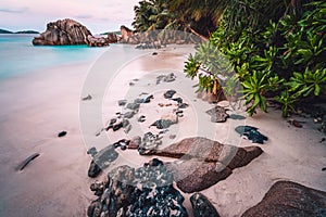 La Digue Island, Seychelles. Beautiful exotic tropical sandy beach with exotic plants in evening sunset light