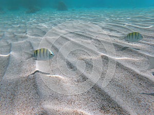 `La Ensenada` beach in the Holy Spirit island