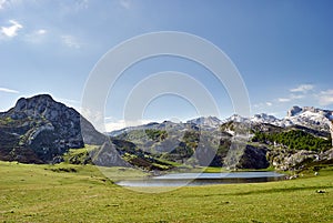 La Ercina lake. Covadonga. Asturias. Spain