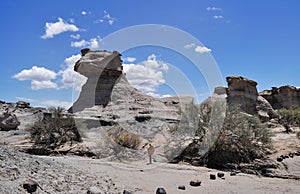 La esfinge (sphinx). Ischigualasto Provincial Park. Argentina