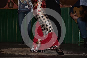 La feria de abril of sevilla, girl dancing flamenco