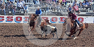 A La Fiesta De Los Vaqueros, Tucson, Arizona