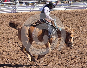 A La Fiesta De Los Vaqueros, Tucson, Arizona