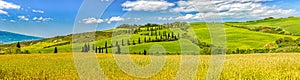 La Foce - cypress tree lined road in Val d`Orcia