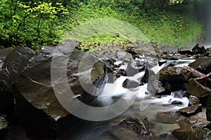 La Fortuna environment