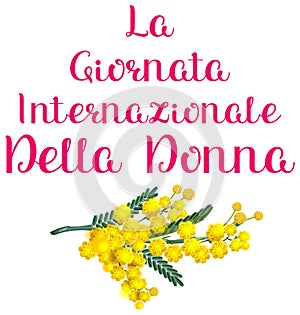 La Giornata internazionale della donna italia holiday yellow acacia mimosa. Womens day text translation from Italian