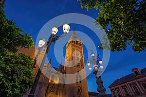 La Giralda at night - Seville Cathedral Tower - Seville, Andalusia, Spain