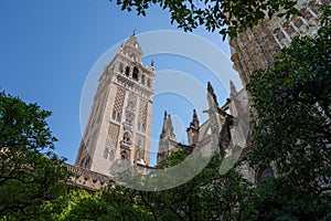 La Giralda (Seville Cathedral Tower) at Patio de los Naranjos - Seville, Andalusia, Spain photo