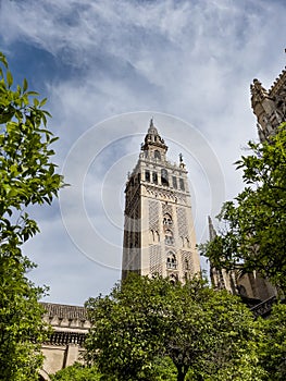 La Giralda tower of Seville wide angle shot from the Patio de los Naranjos (Courtyard of the Orange tr photo