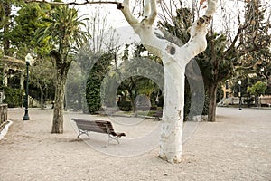 La Glorieta park in the afternoon in Alcoy photo