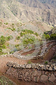 La Gomera, Canary Islands, path from Degollada de Peraza. photo