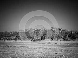 La Guajira desert in Colombia photo