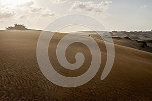 La Guajira Sand Dune