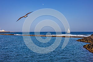 La Isla - Playa de La Guirra on the island of Fuerteventura Island photo