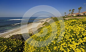 La Jolla Beach