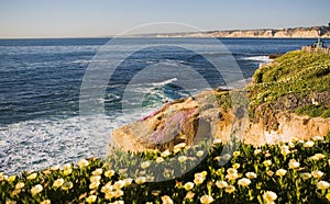 La Jolla Cliffs