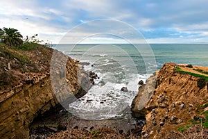 La Jolla Cove with birds