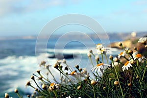 La Jolla Cove, San Diego