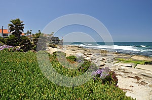 La Jolla shoreline view